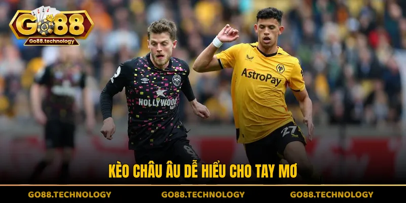 Kèo châu Âu dễ hiểu cho tay mơ