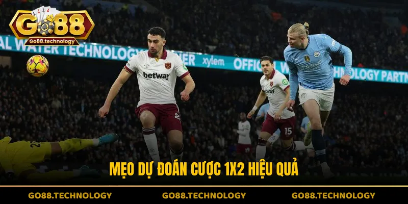 Mẹo dự đoán cược 1x2 hiệu quả